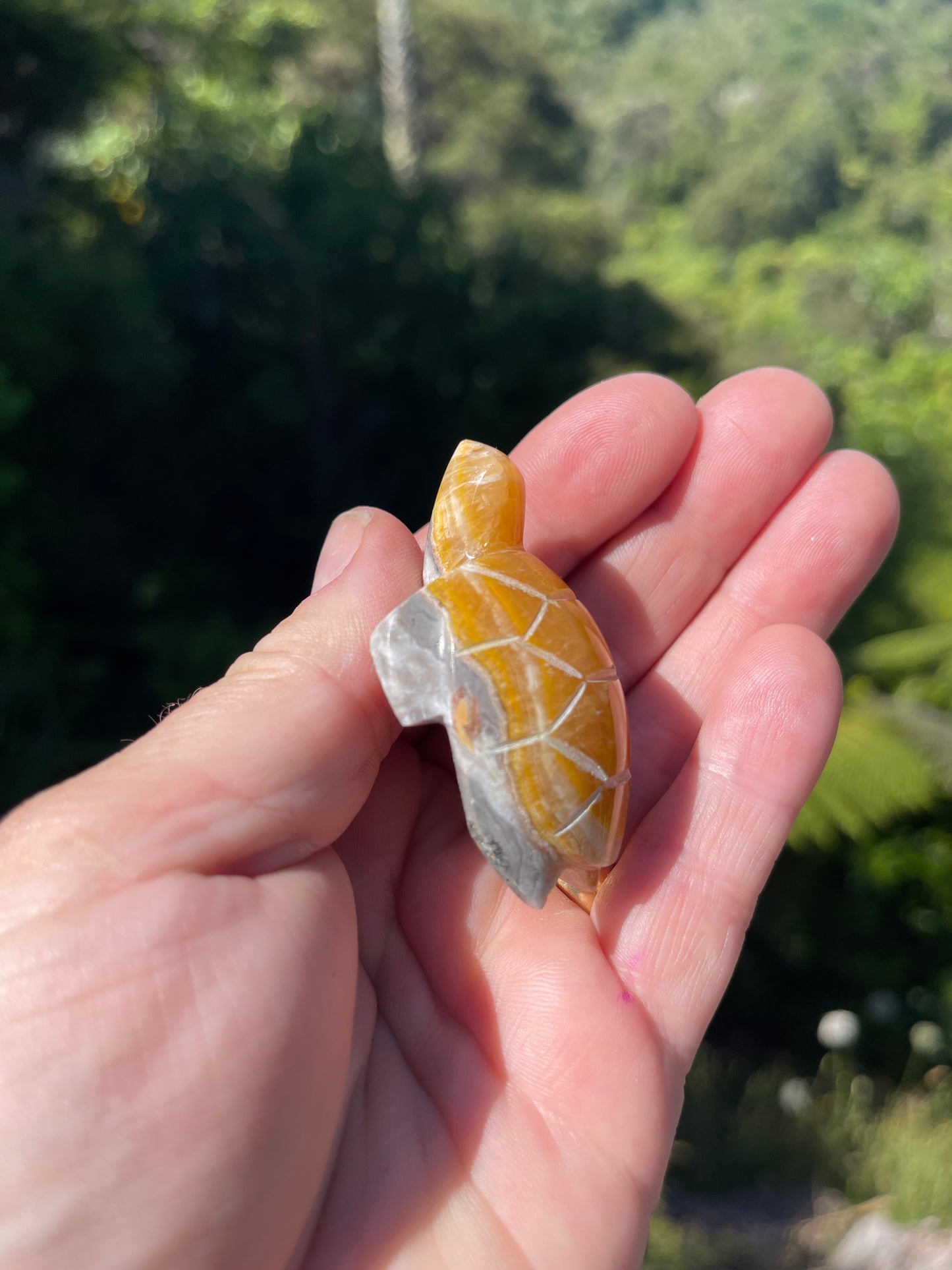 Bumblebee Jasper carved stone Turtle
