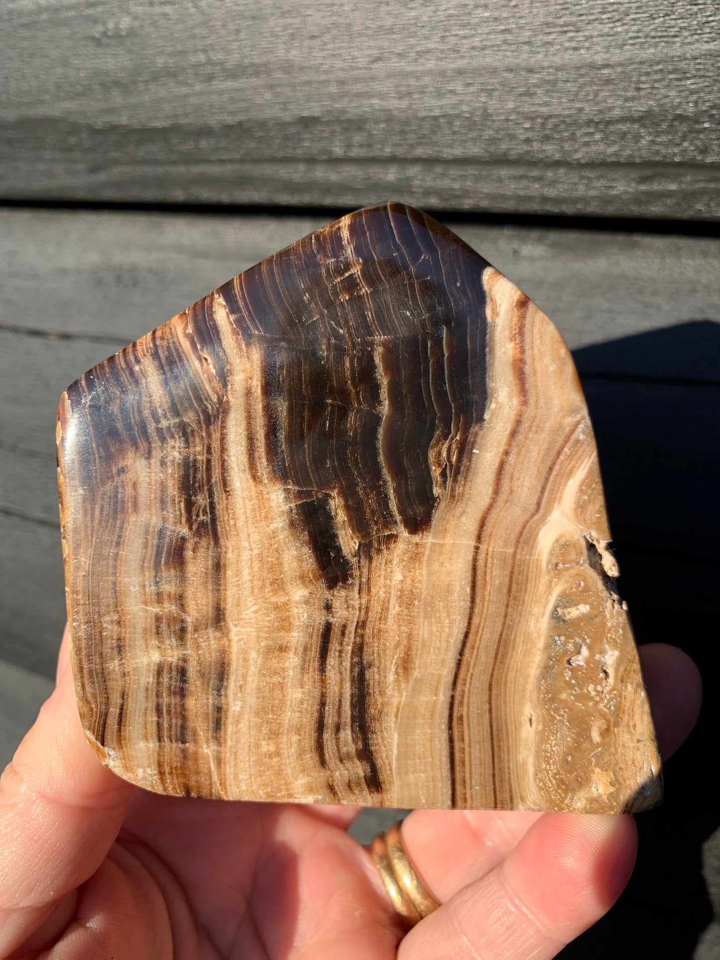 Chocolate Calcite Freeform