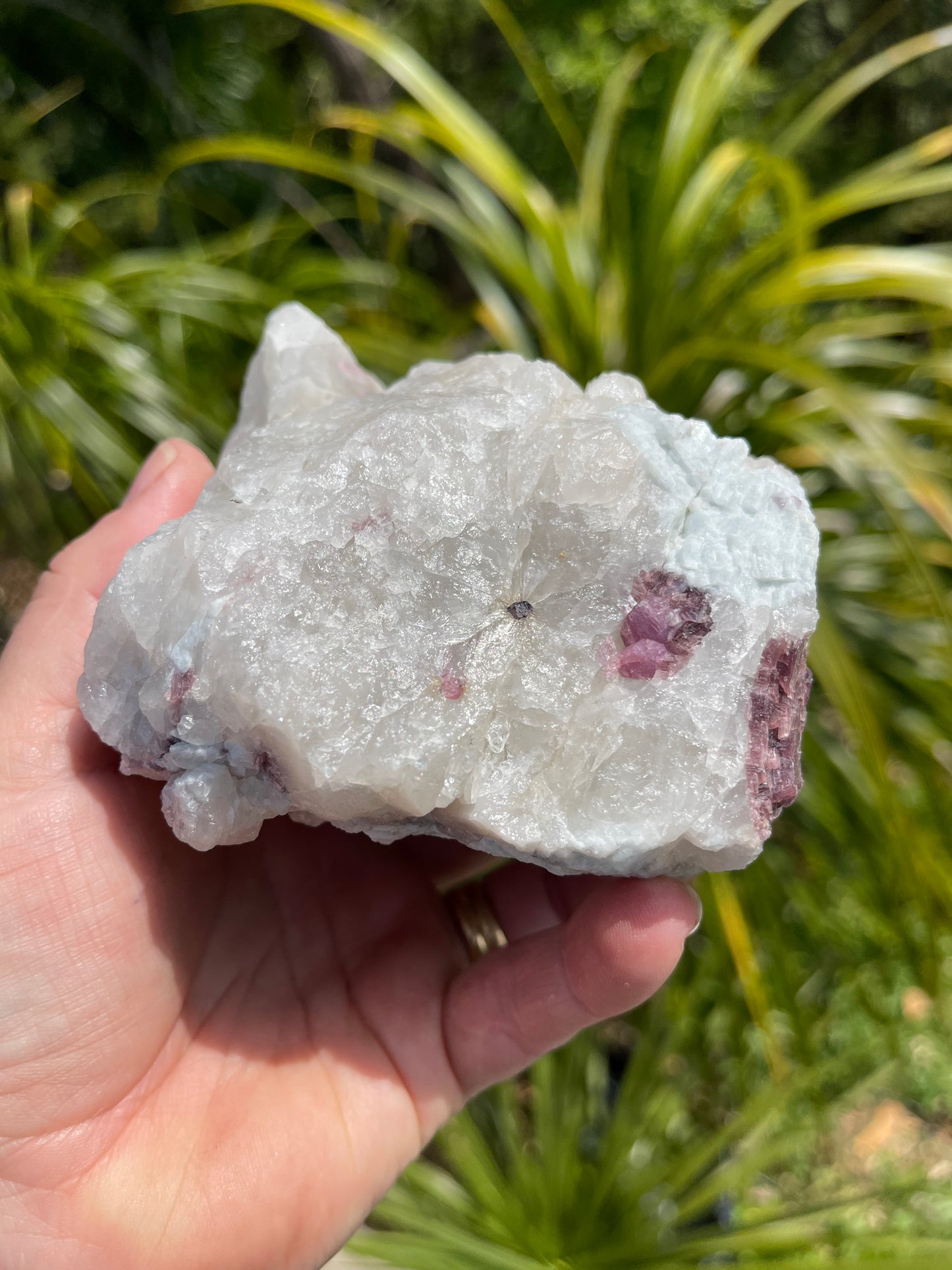 Pink Tourmaline, lepidolite and Muscovite in Quartz