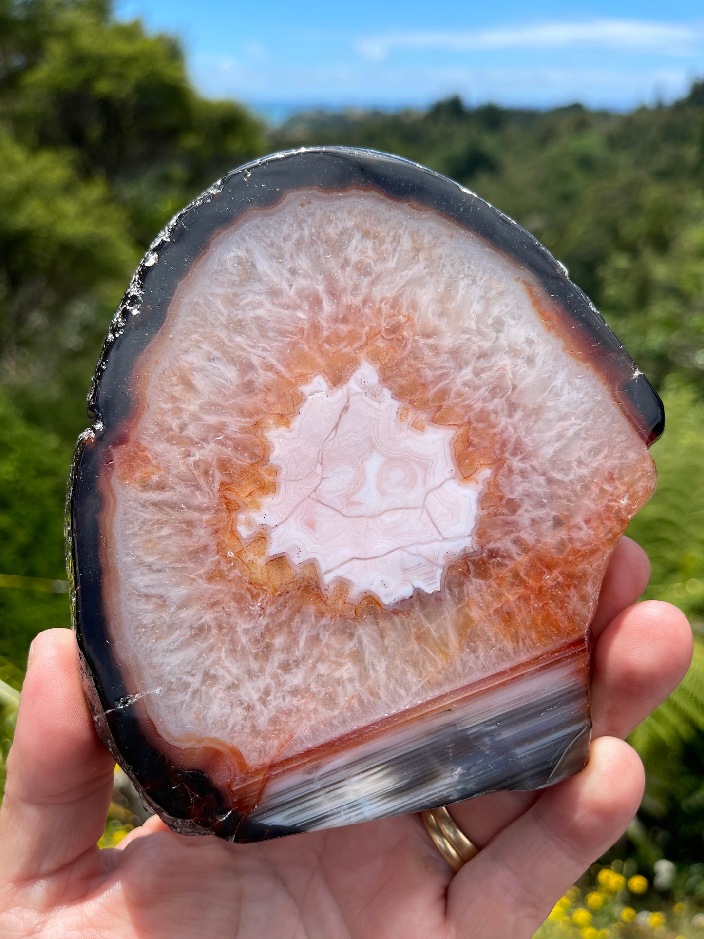 Carnelian Agate Slice