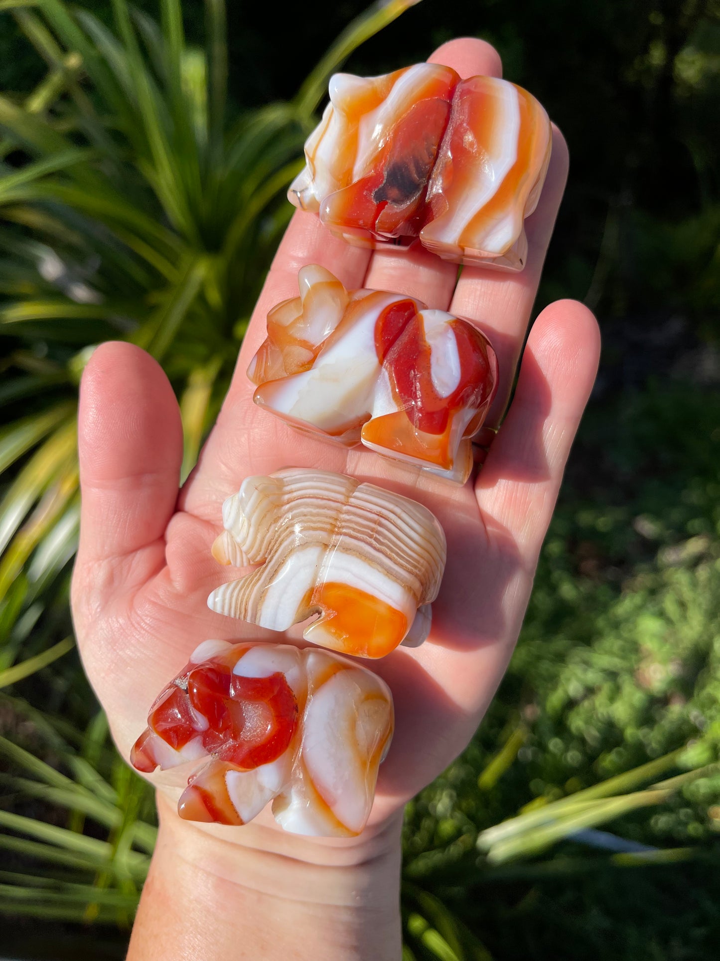 Carnelian Agate Banded Agate Bear