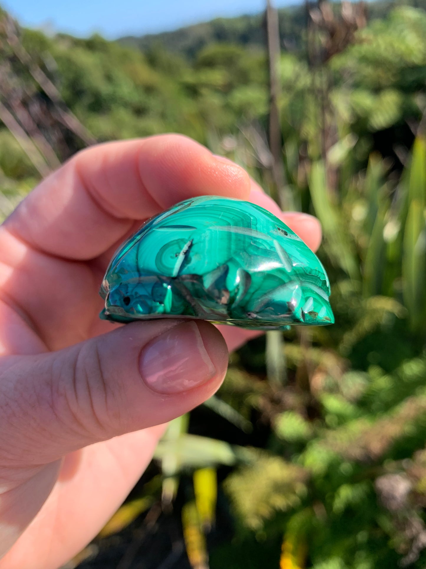 Malachite Carved Turtle