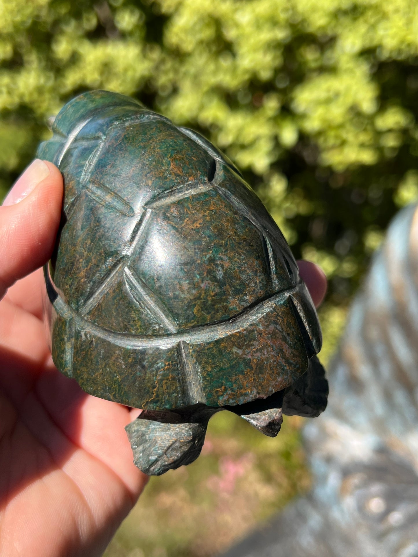 Verdite Turtle