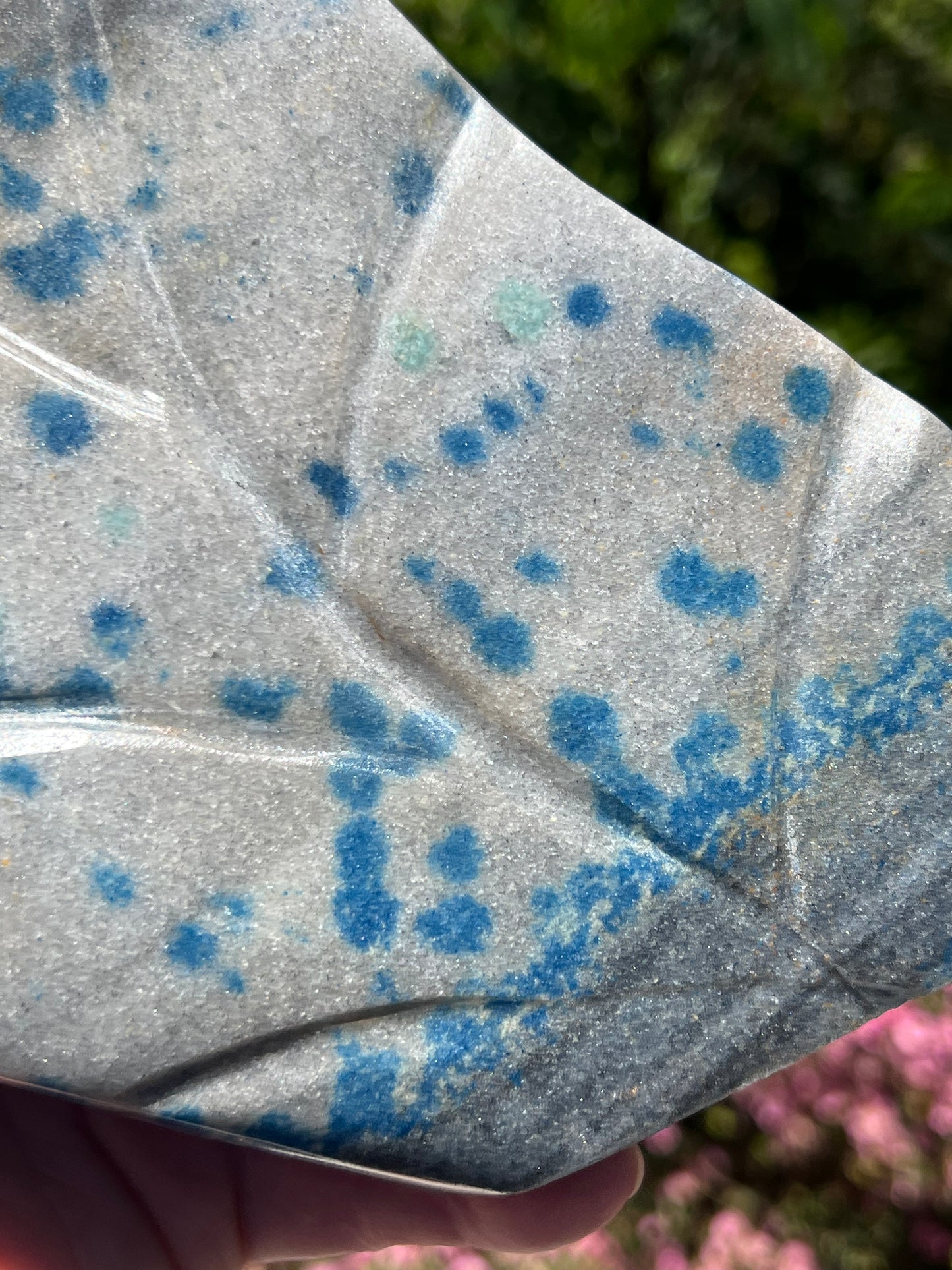 Blue Apatite in Cleavelandite Carved Leaf