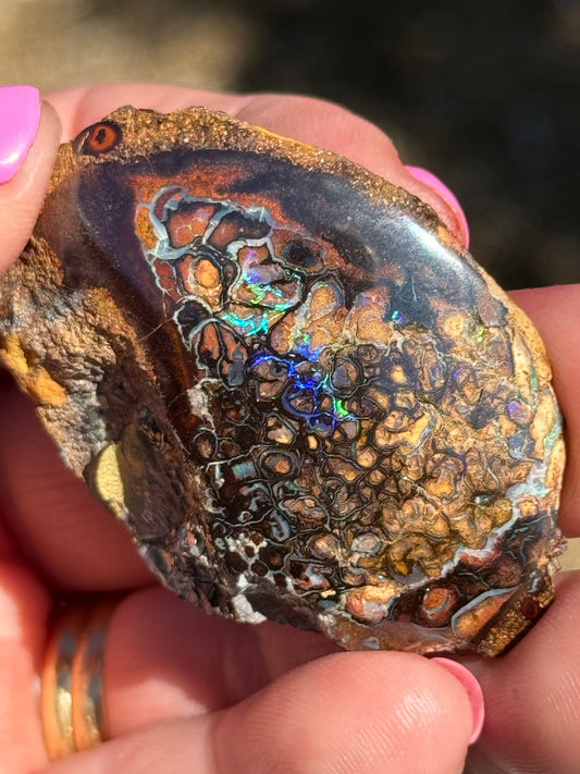 Yowah Nut Opal Specimen