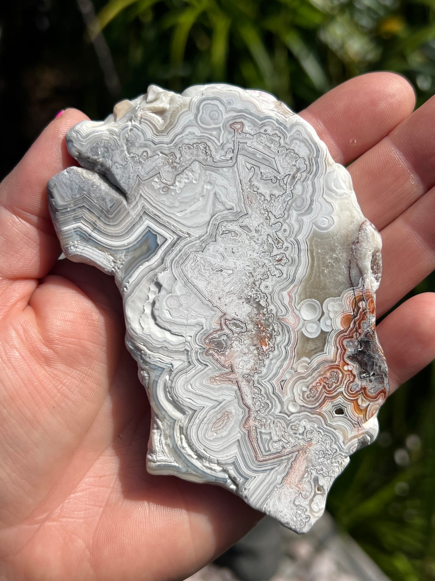 Crazy Lace Agate Slice, Mexican