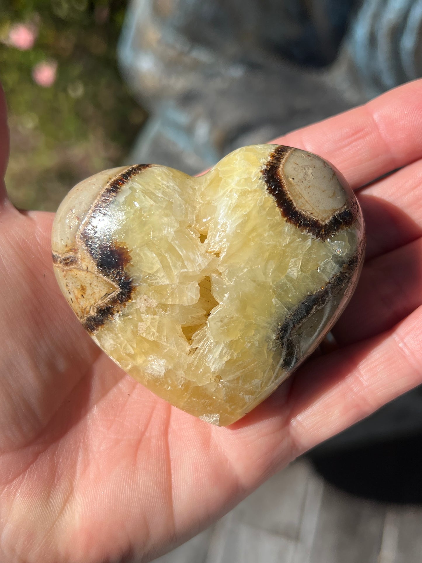 Septarian/Dragons Stone Heart