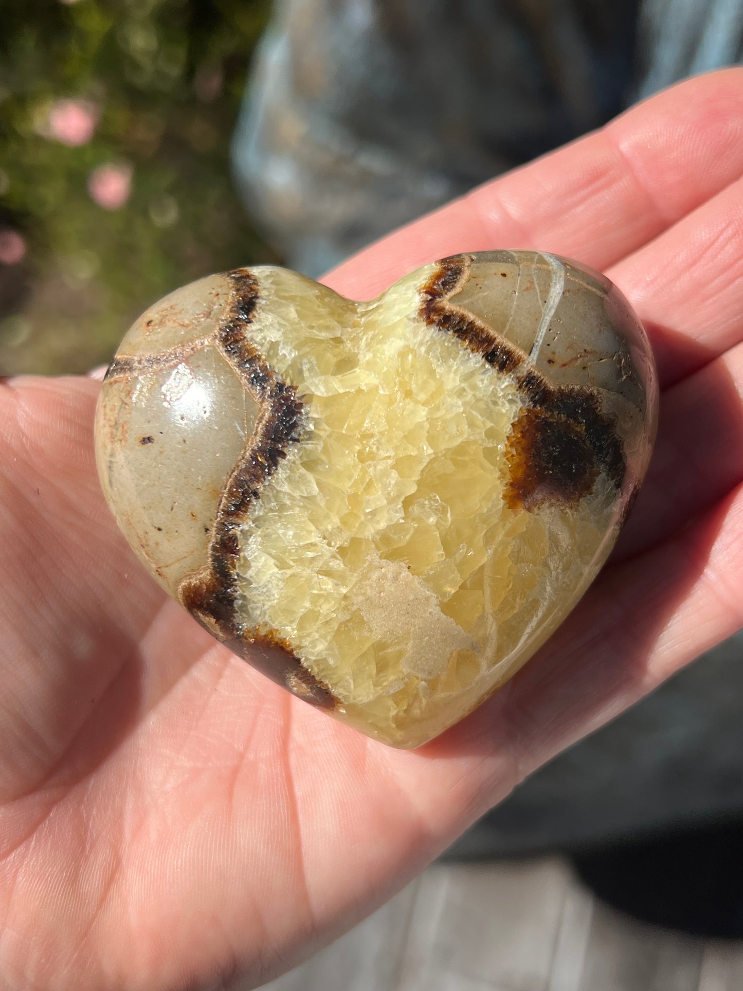 Septarian/Dragons Stone Heart