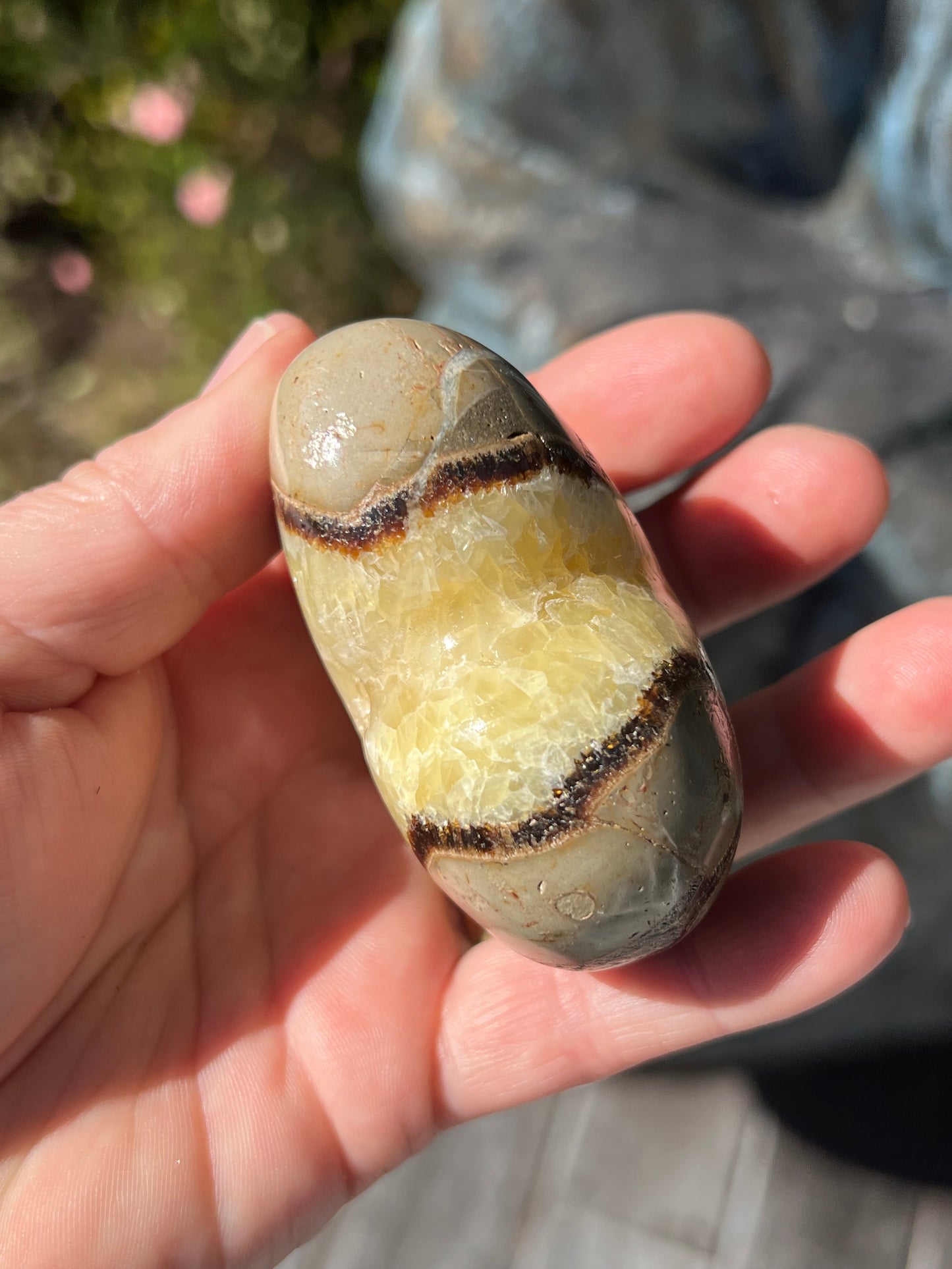 Septarian/Dragons Stone Heart