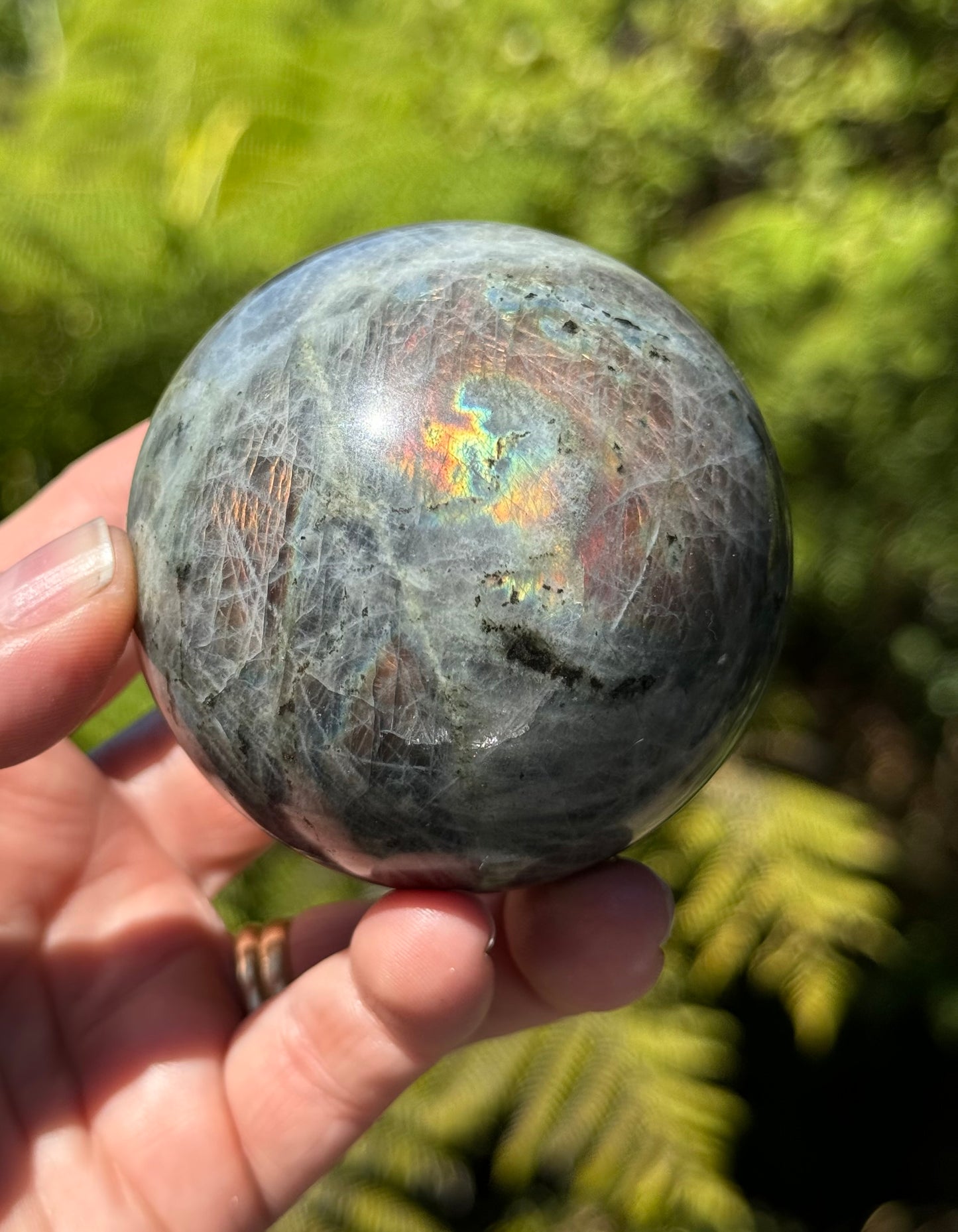 Labradorite Sphere Purple/Mermaid