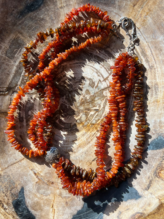 Amber Necklace with Sterling Silver Clasp