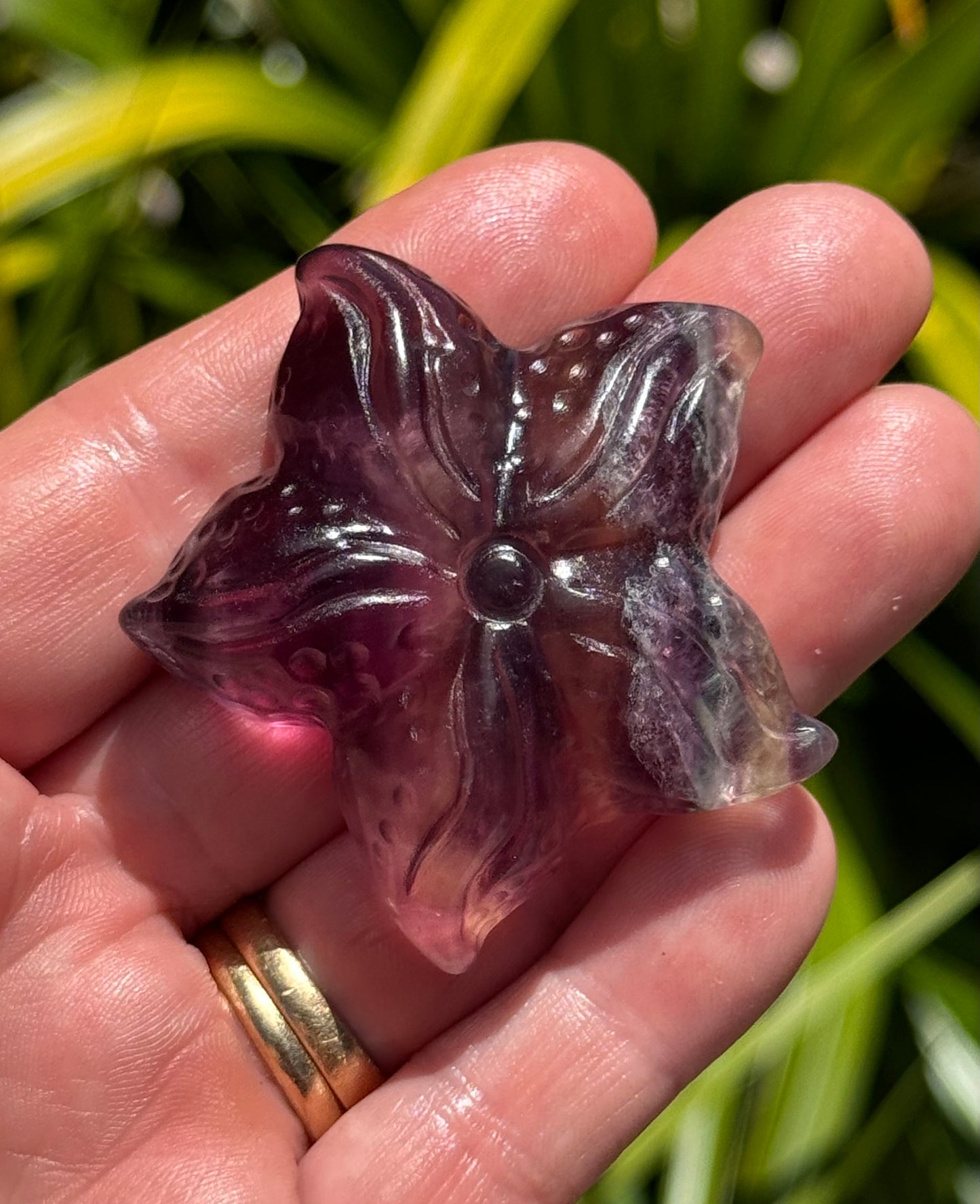 Rainbow Fluorite Starfish