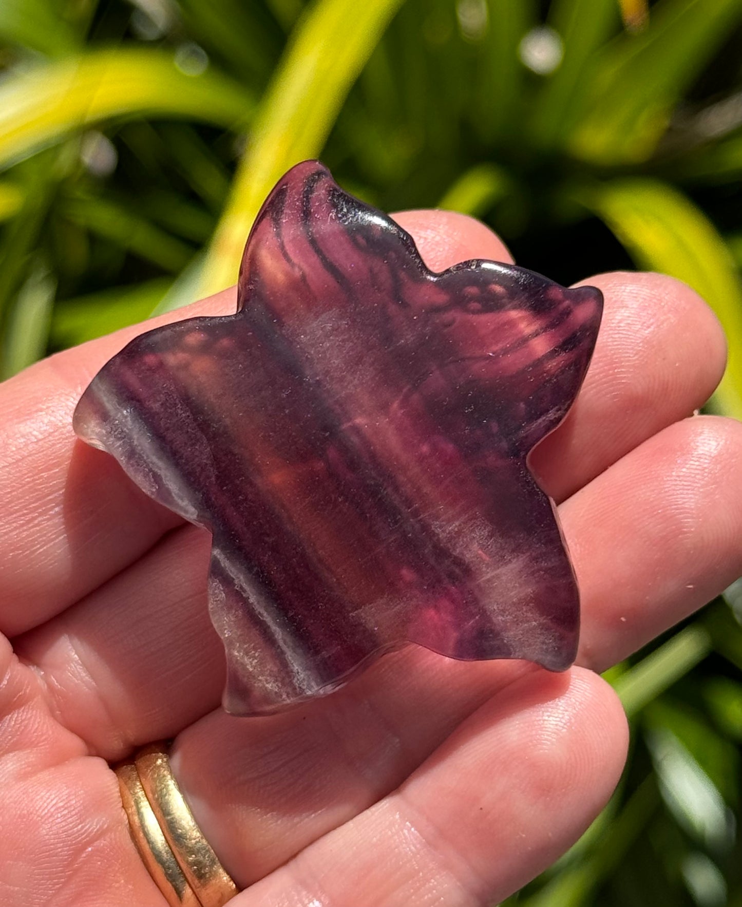 Rainbow Fluorite Starfish