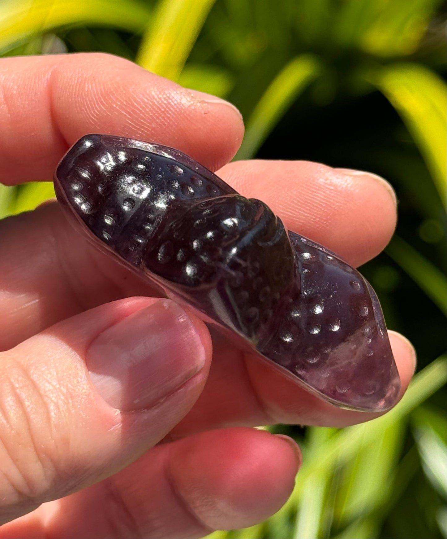 Rainbow Fluorite Starfish