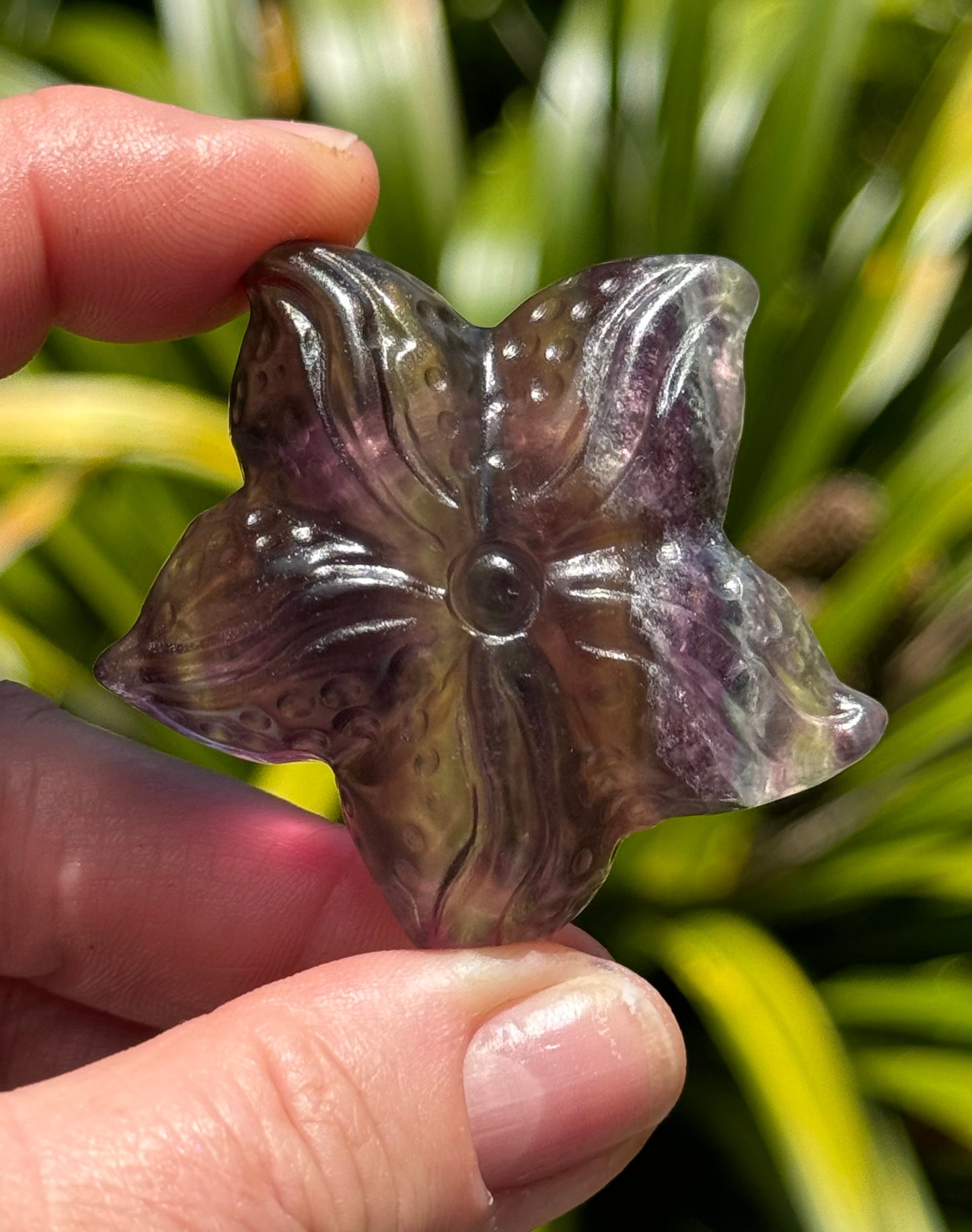 Rainbow Fluorite Starfish