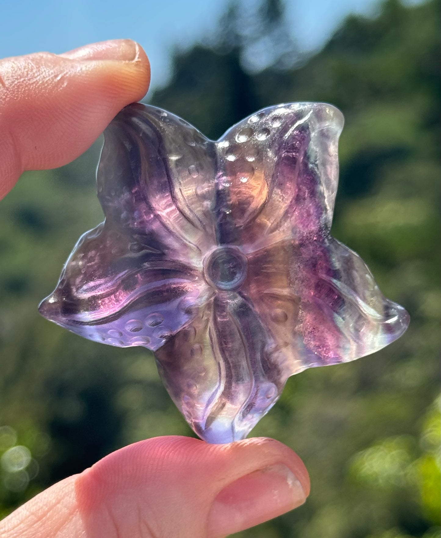 Rainbow Fluorite Starfish