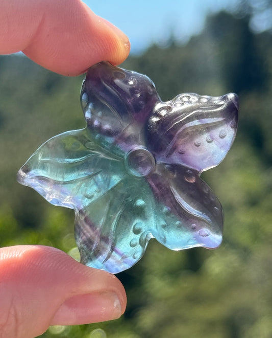 Rainbow Fluorite Starfish