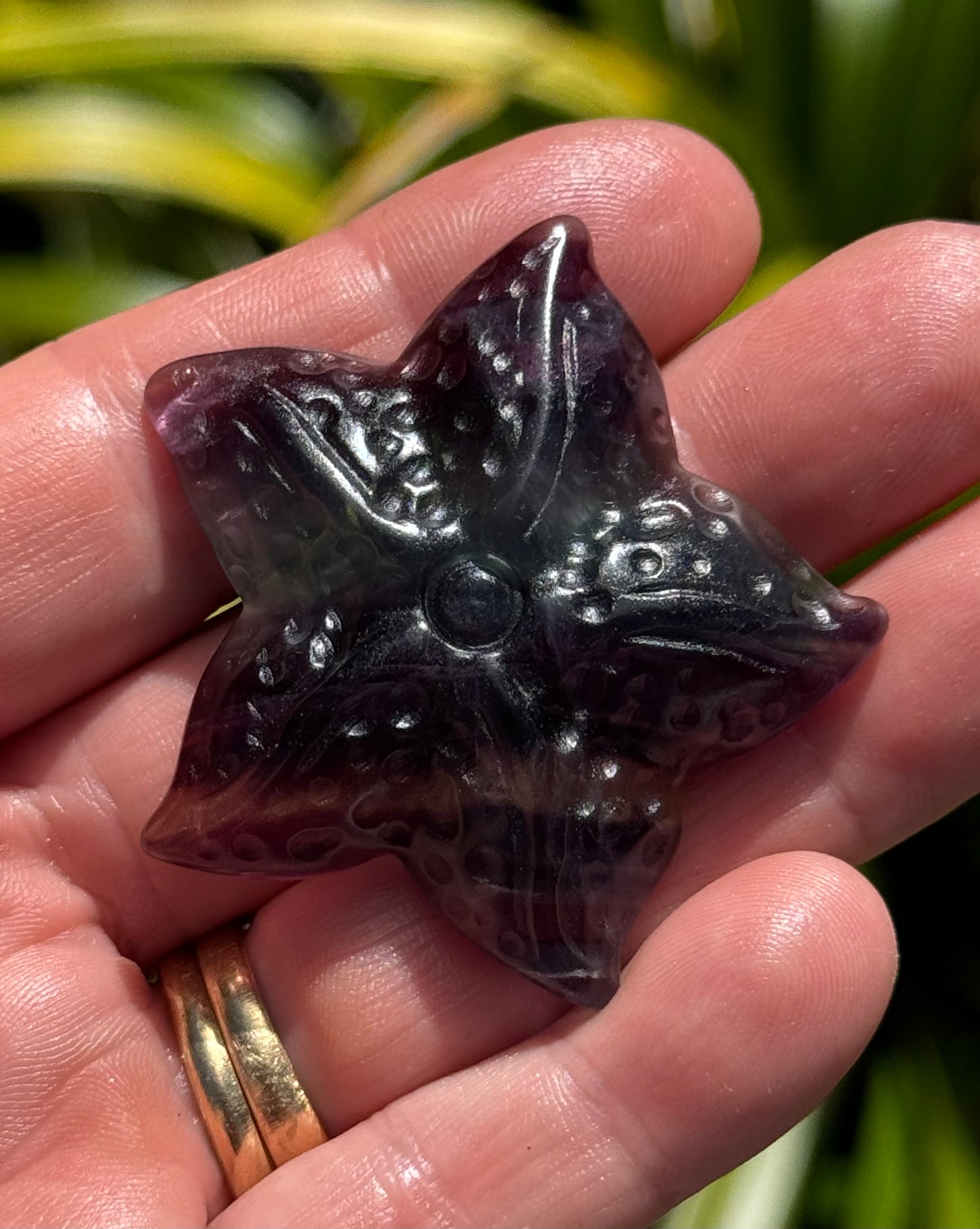 Rainbow Fluorite Starfish