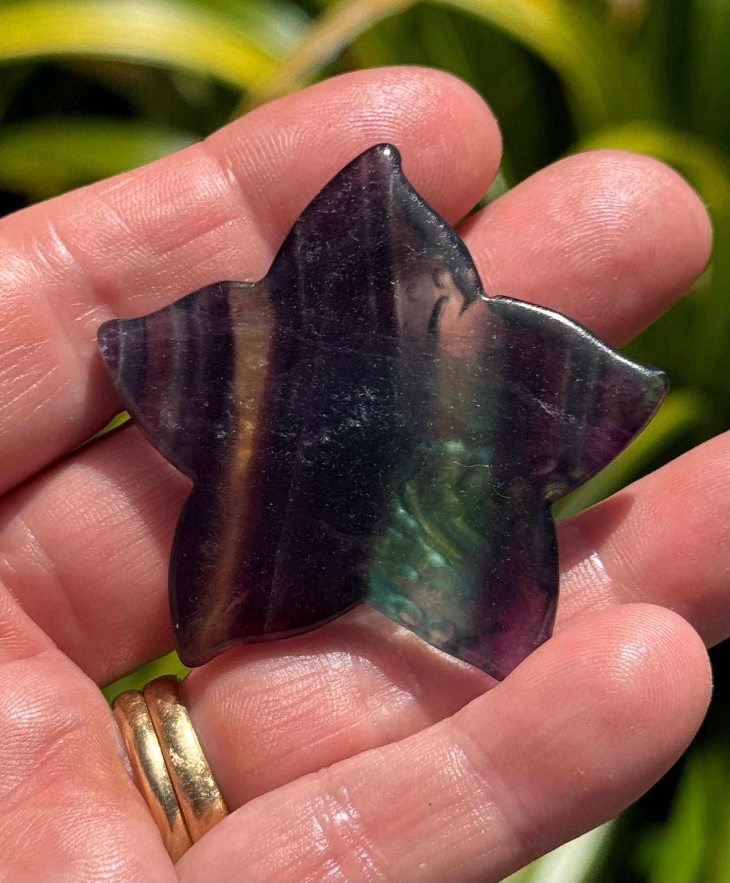 Rainbow Fluorite Starfish