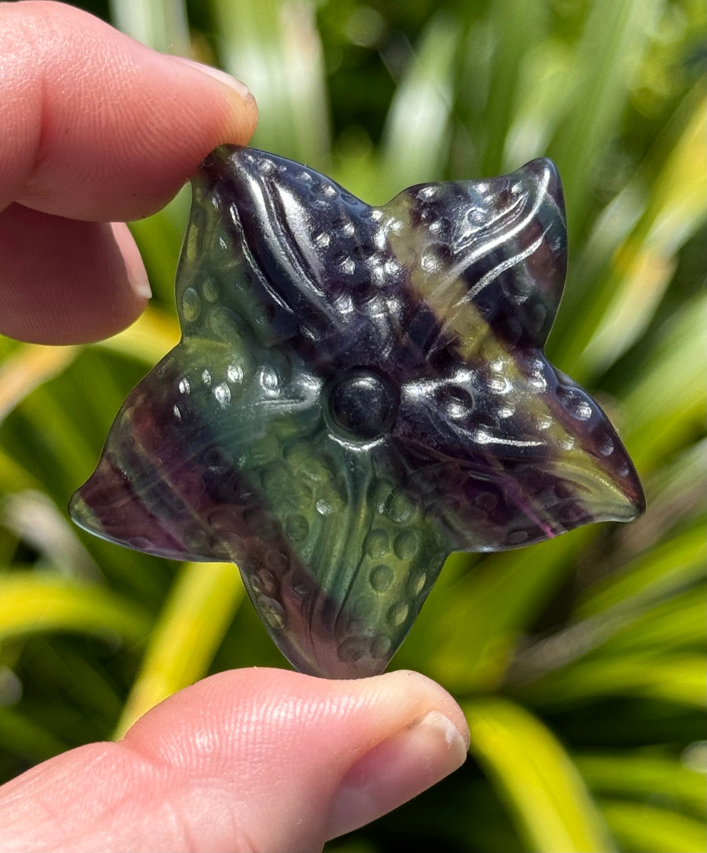 Rainbow Fluorite Starfish