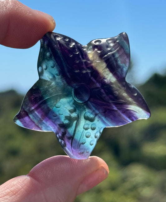 Rainbow Fluorite Starfish