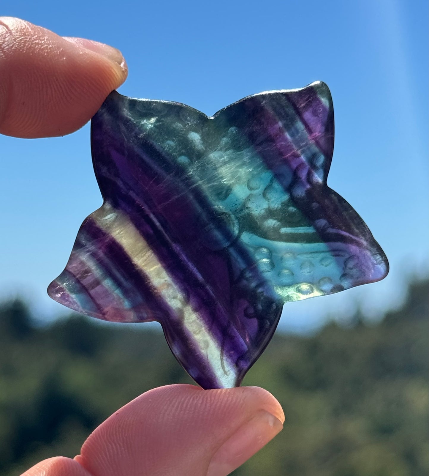 Rainbow Fluorite Starfish