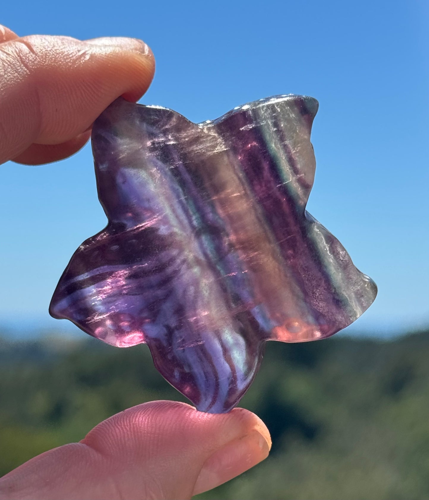 Rainbow Fluorite Starfish