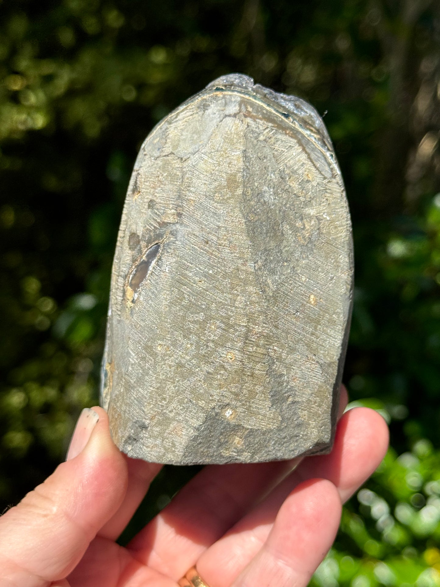 Black Amethyst Free form