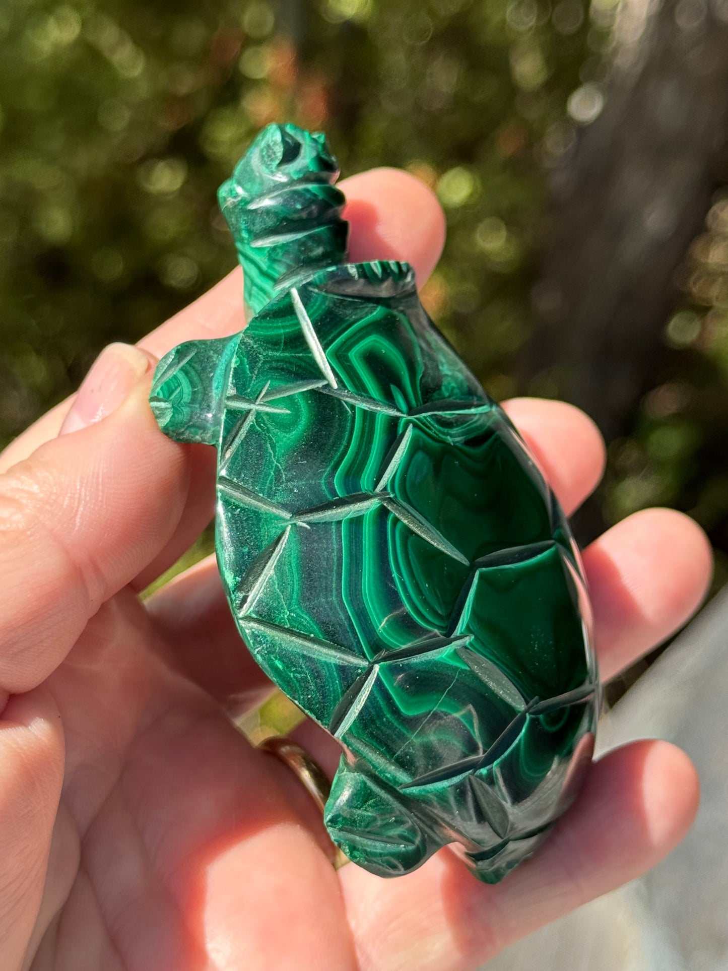 Malachite Carved Turtle