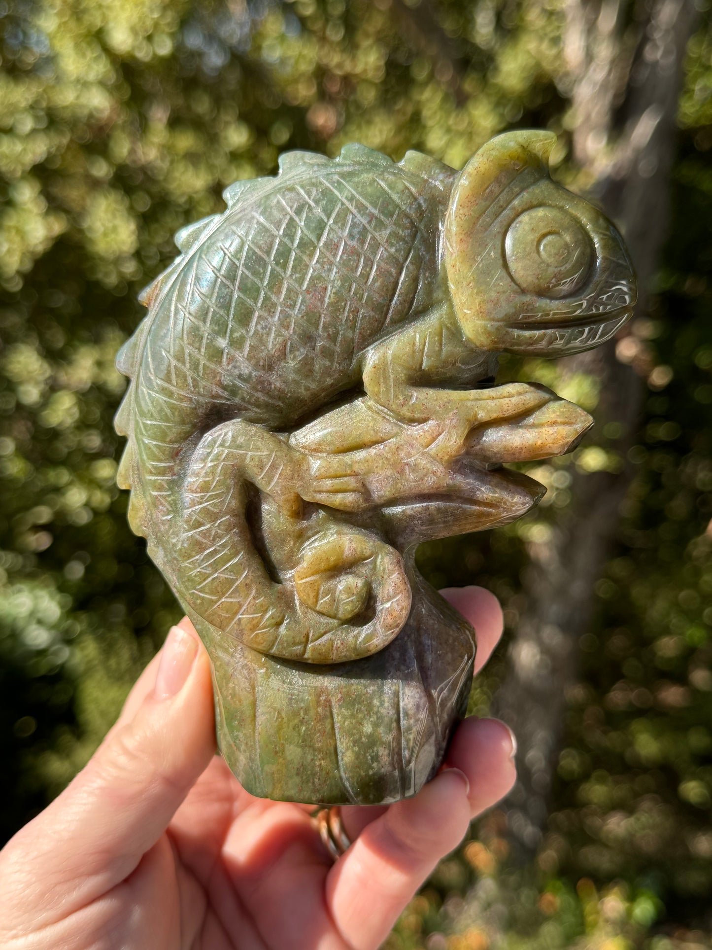 Indian Agate Chameleon carving