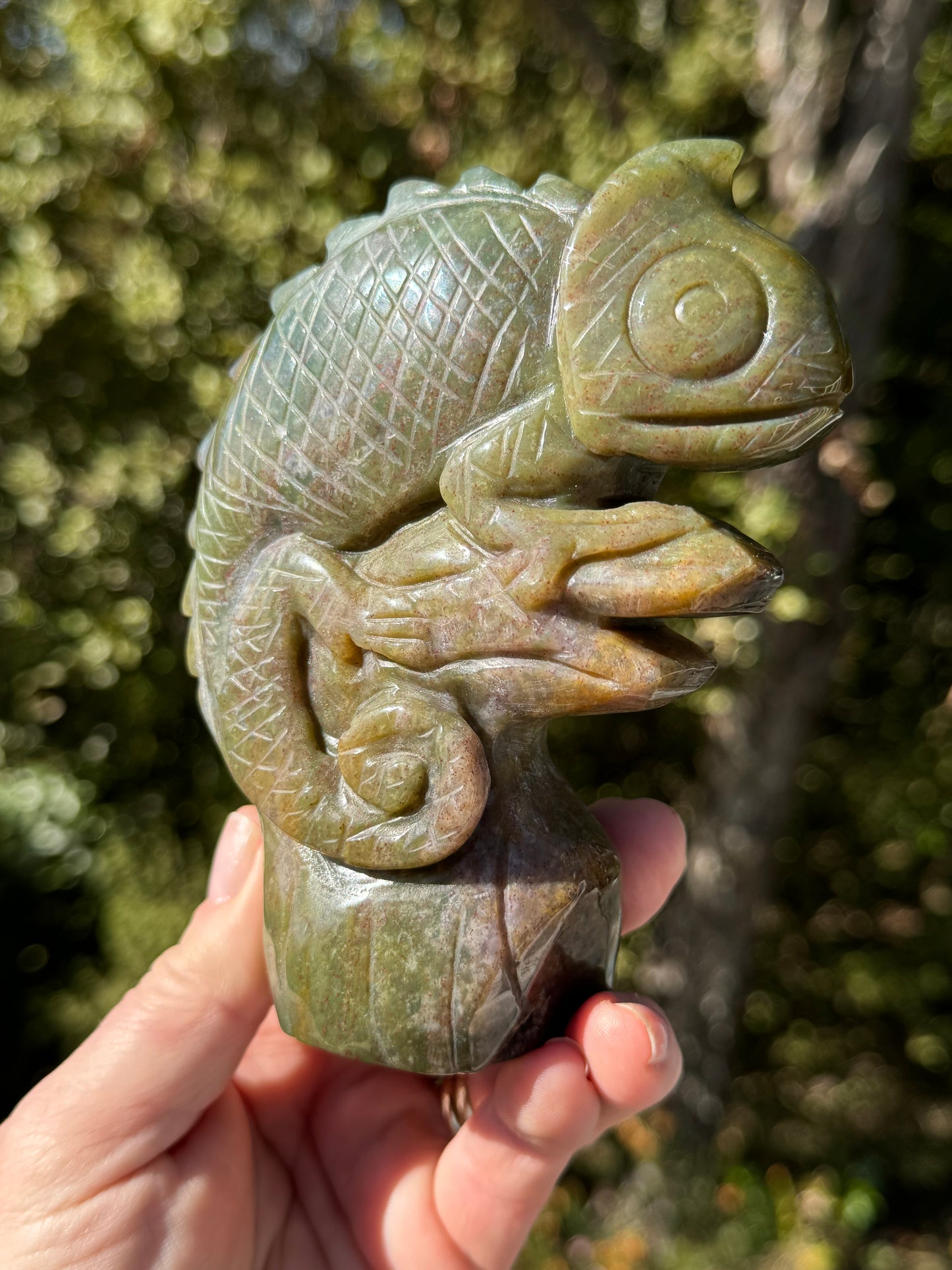 Indian Agate Chameleon carving