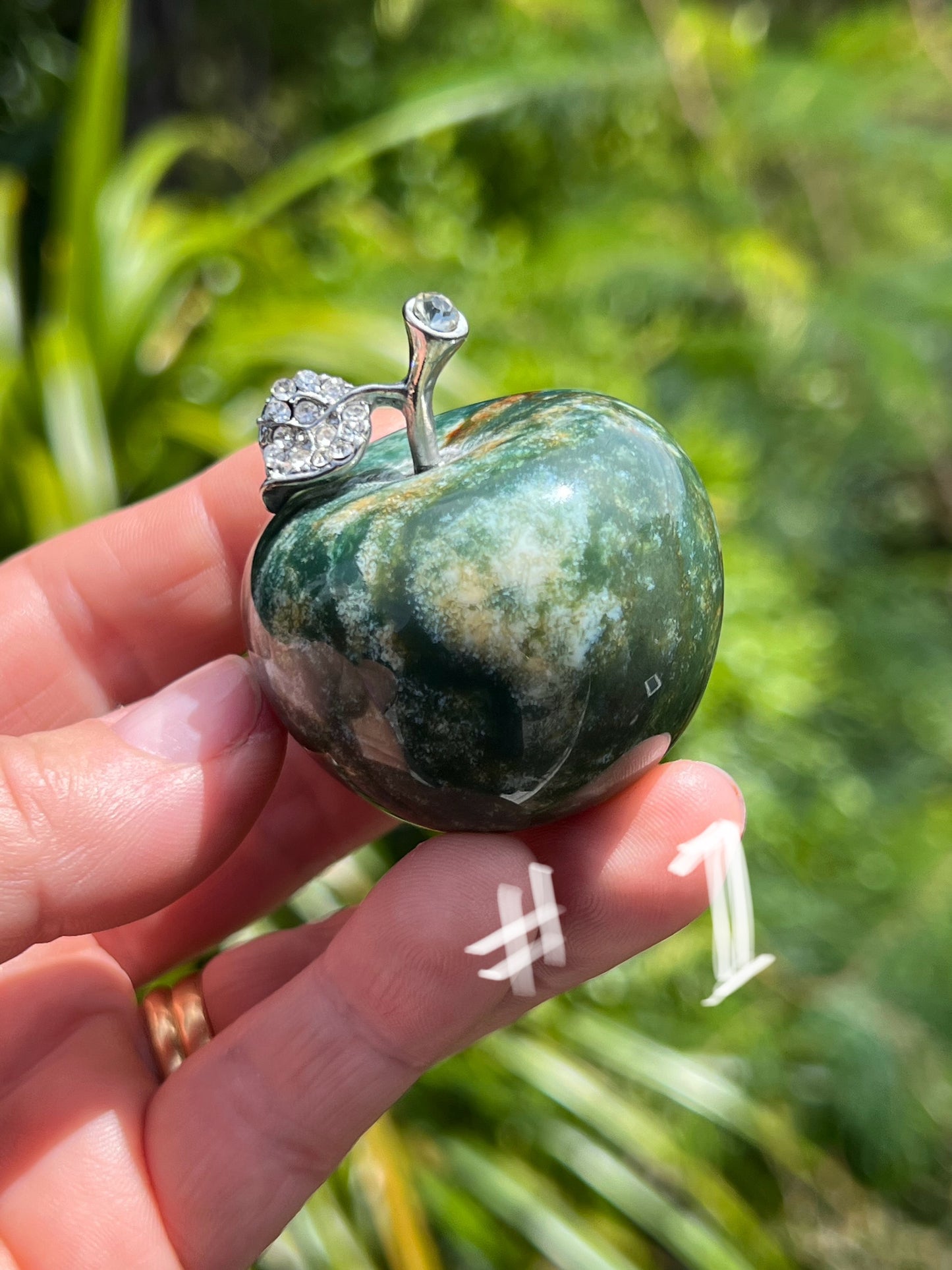 Indian Agate Apple