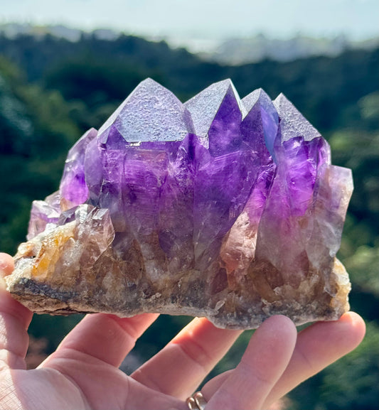Amethyst Cluster, Large Deep Purple Points