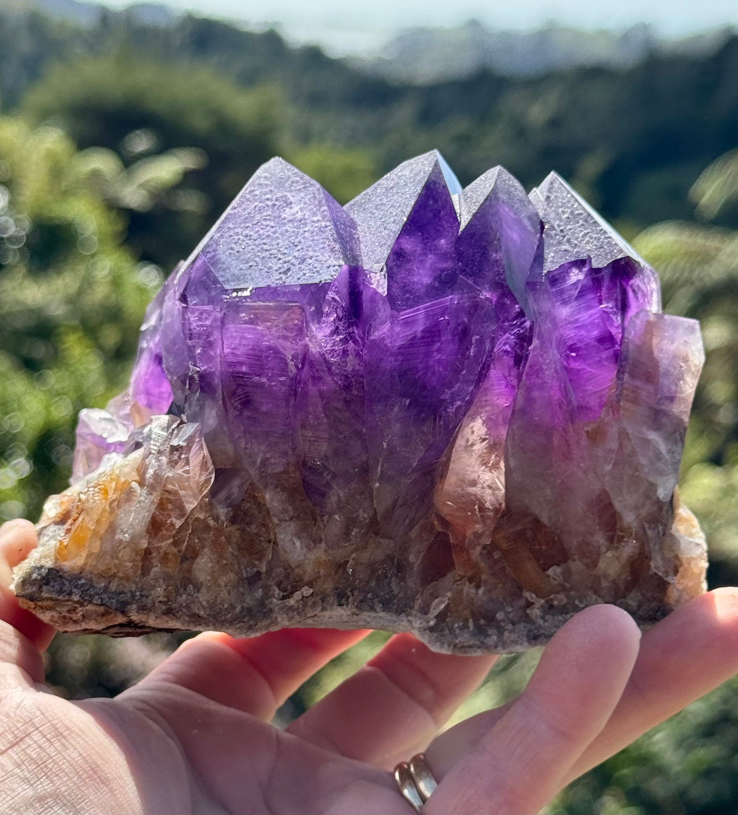 Amethyst Cluster, Large Deep Purple Points