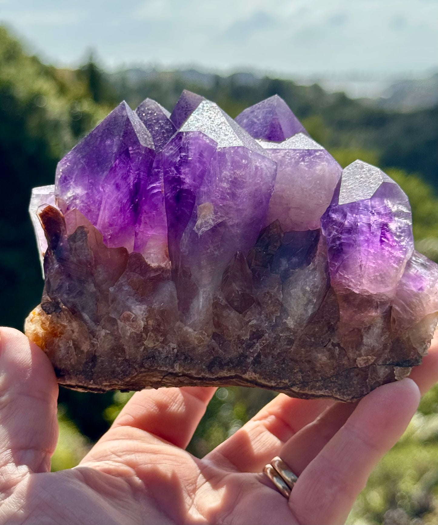 Amethyst Cluster, Large Deep Purple Points