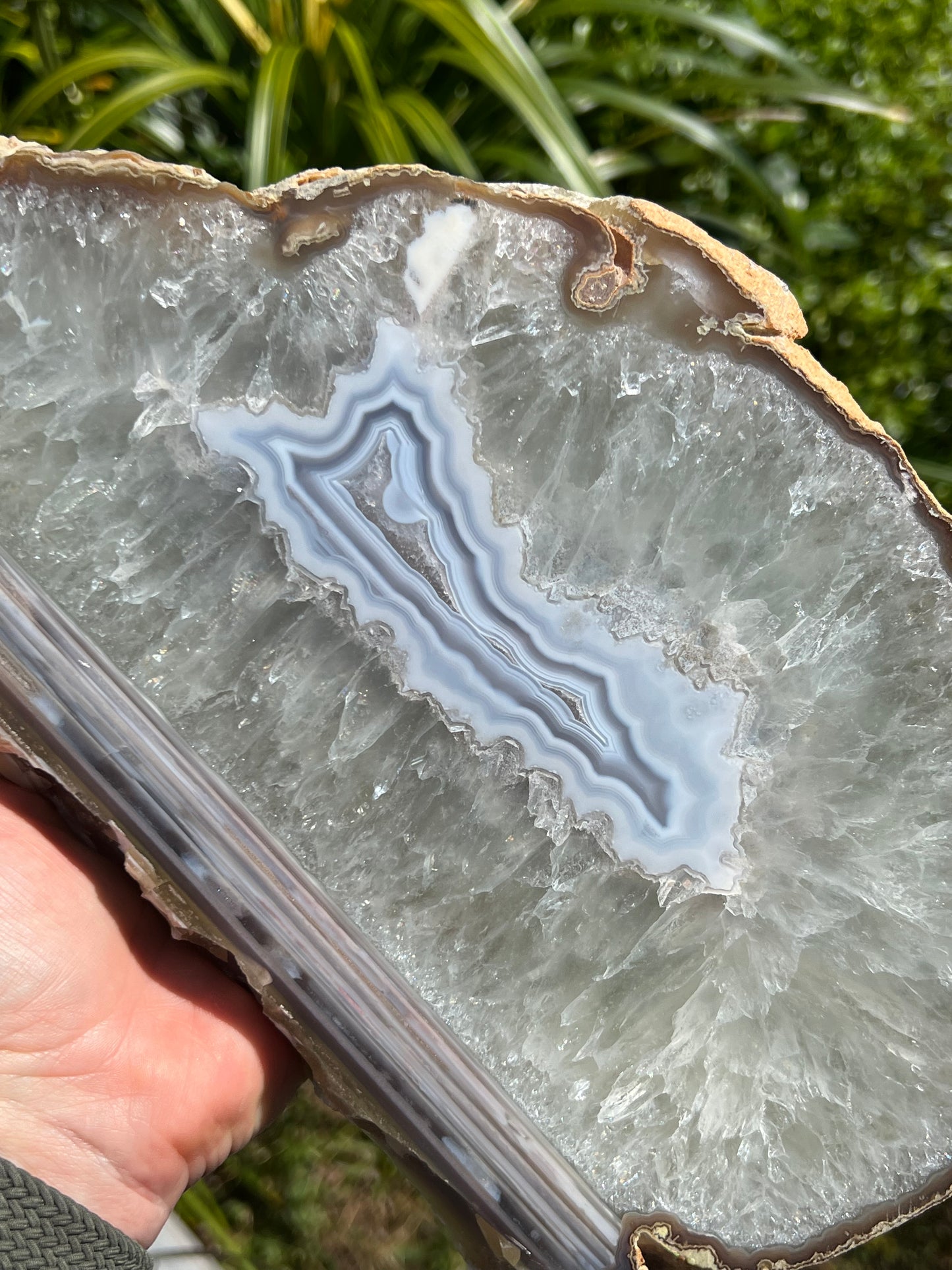 Blue lace Agate, large slice