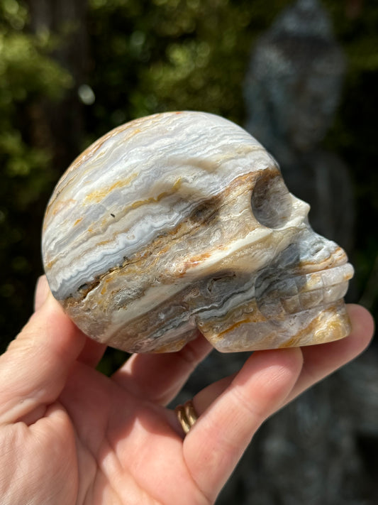 Crazy Lace Agate Skull