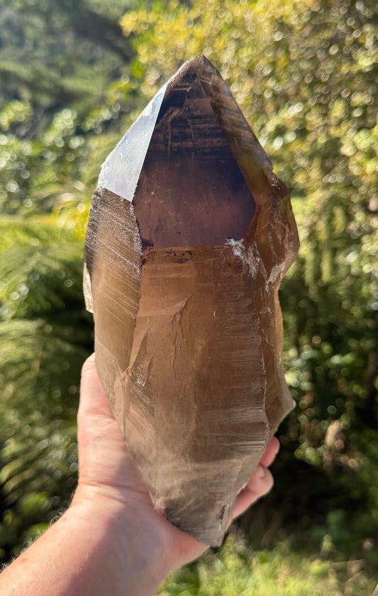Natural Smoky Morion Quartz