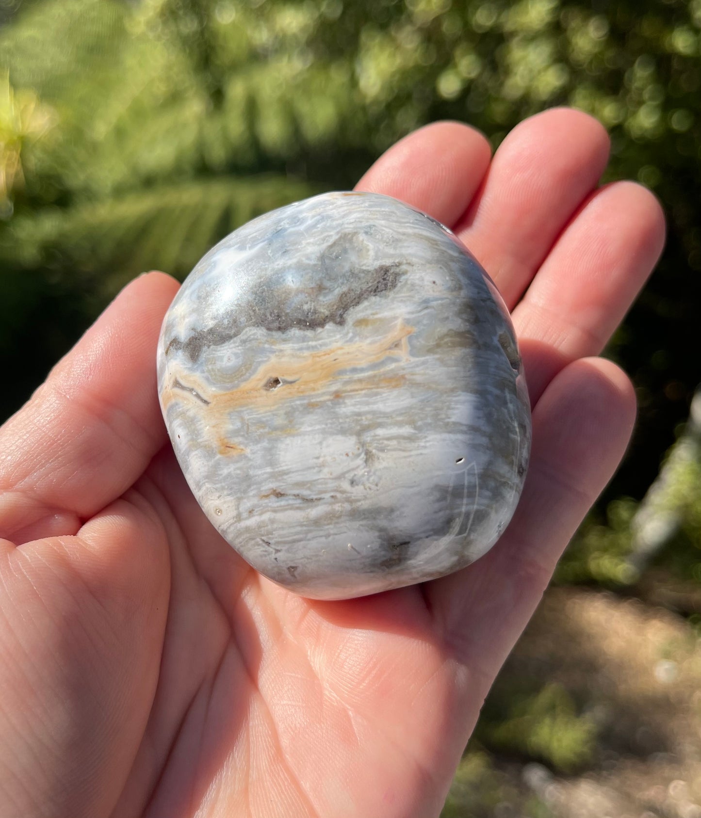 Orbicular Ocean Jasper Palm Stone