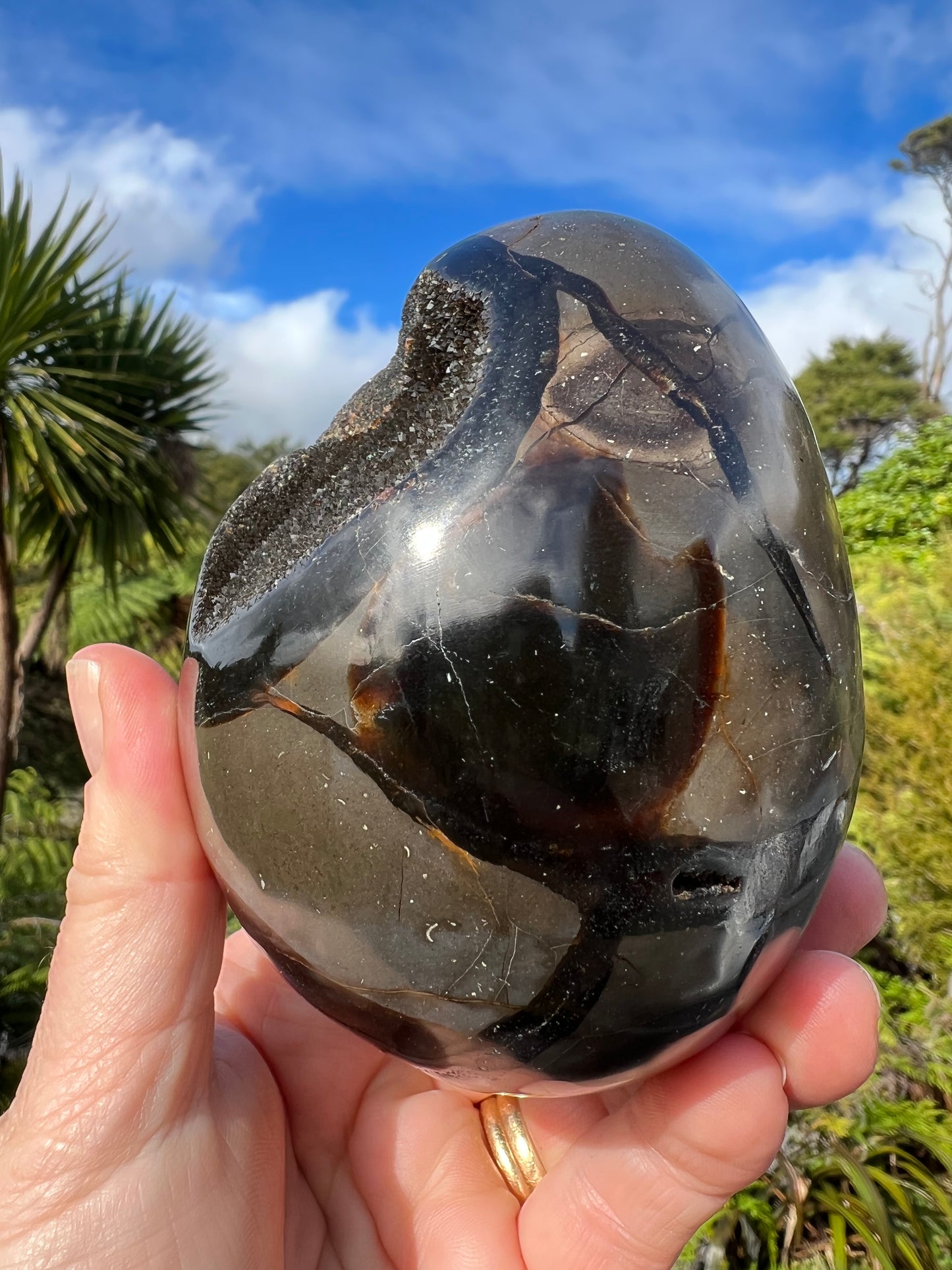 Septarian/Dragon Stone Egg