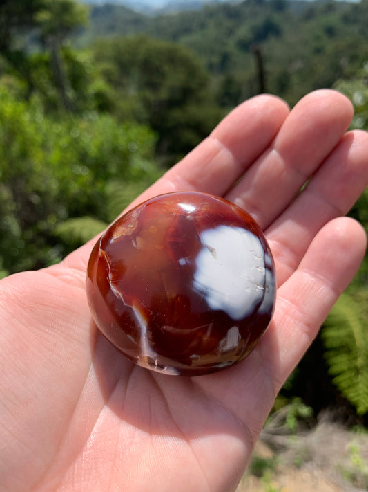 Beautiful Orca Carnelian Palm Stone