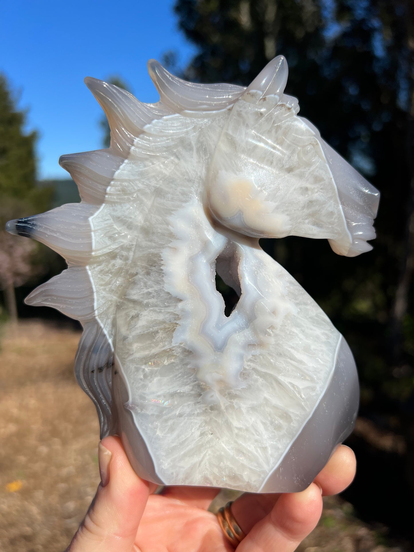 Blue Lace Agate Geode Horse Head