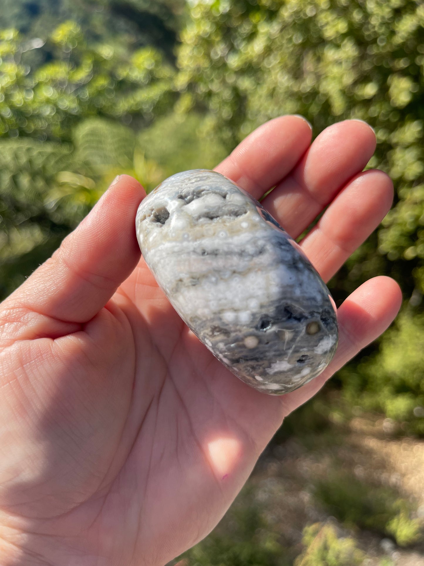 Orbicular Ocean Jasper Palm Stone