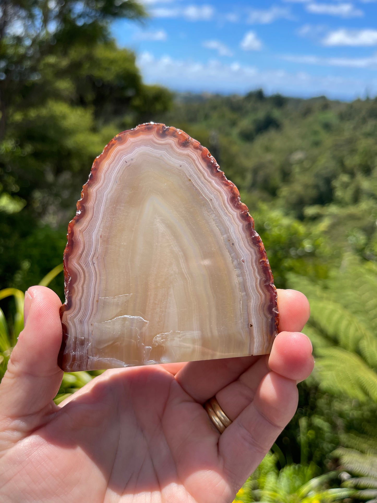 Carnelian Agate Slice