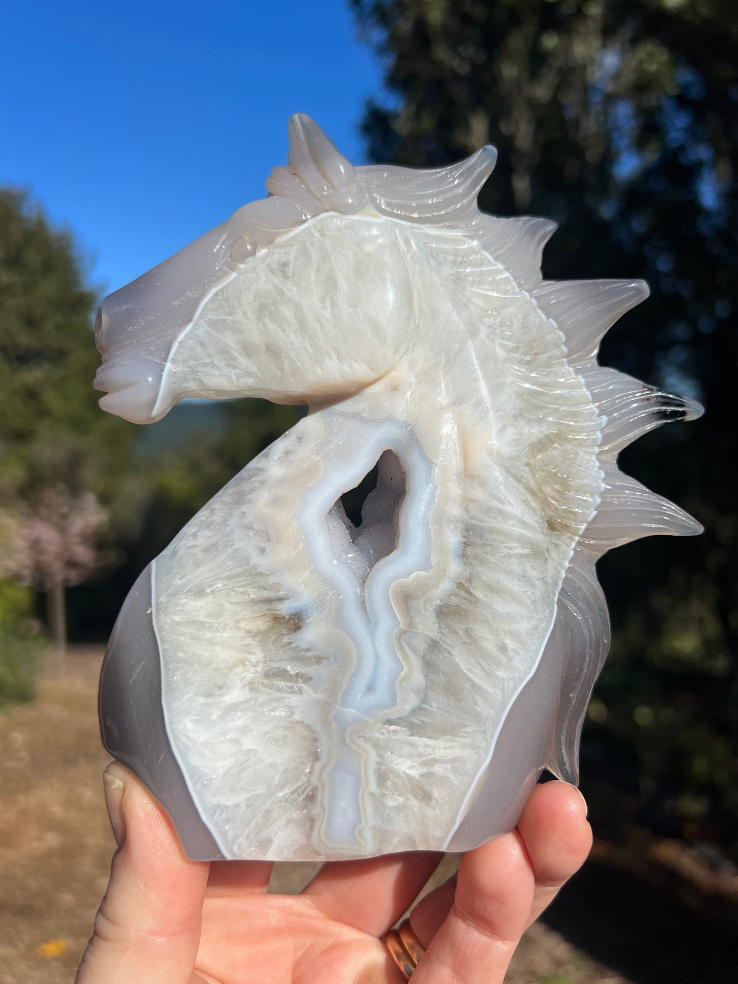 Blue Lace Agate Geode Horse Head