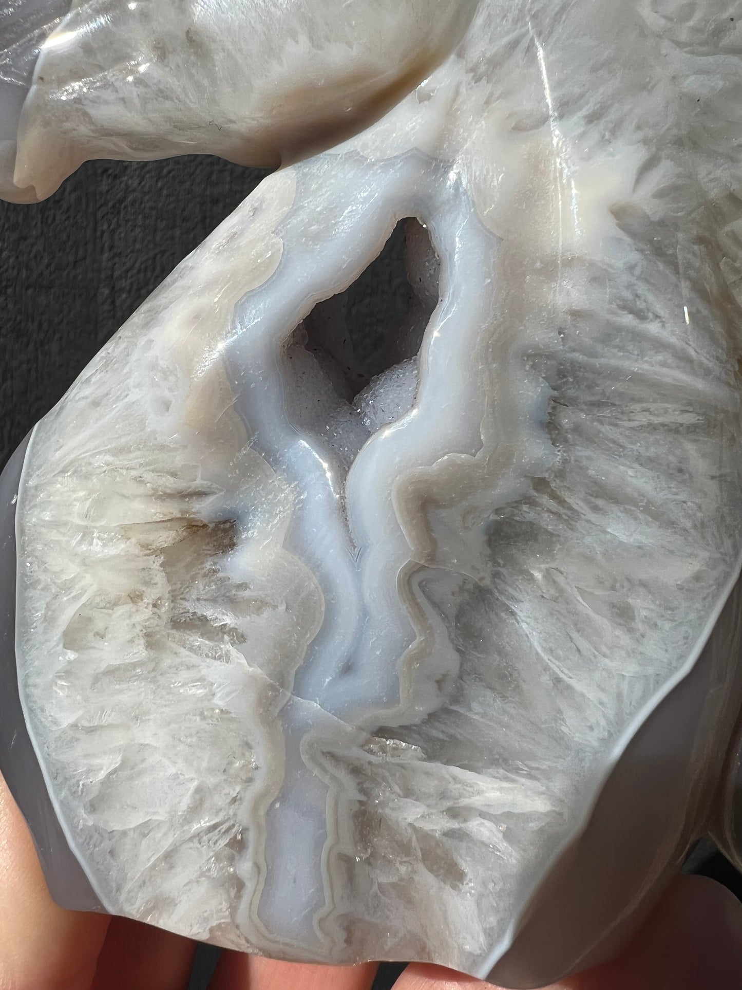 Blue Lace Agate Geode Horse Head