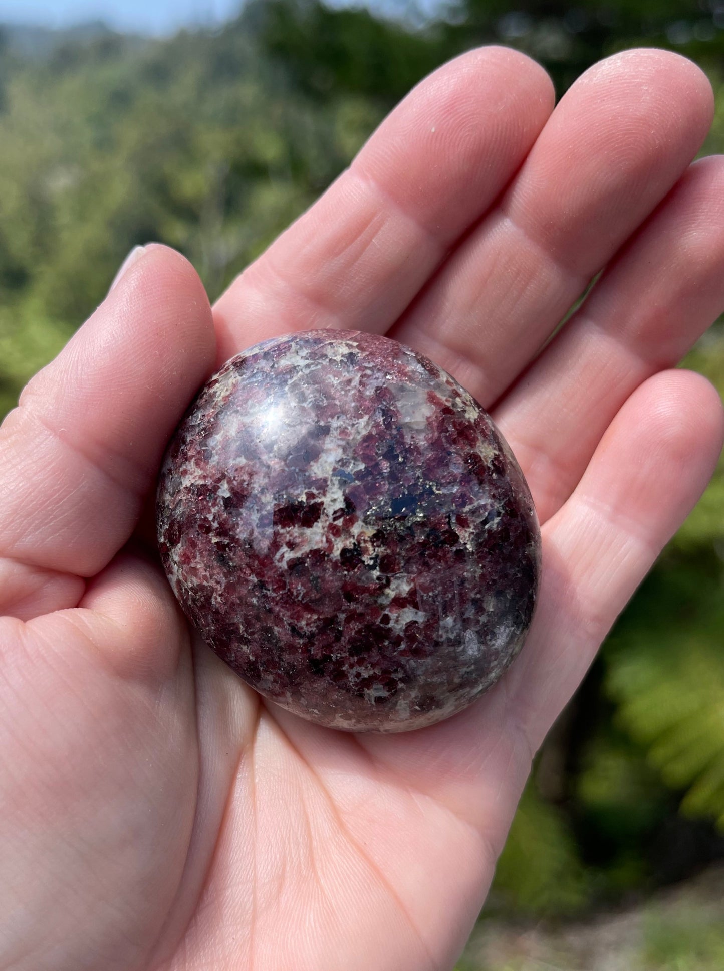 Garnet-Grenatite Puffy Palm Stone
