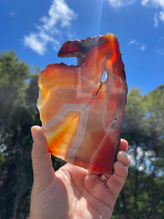 Carnelian Agate Slice