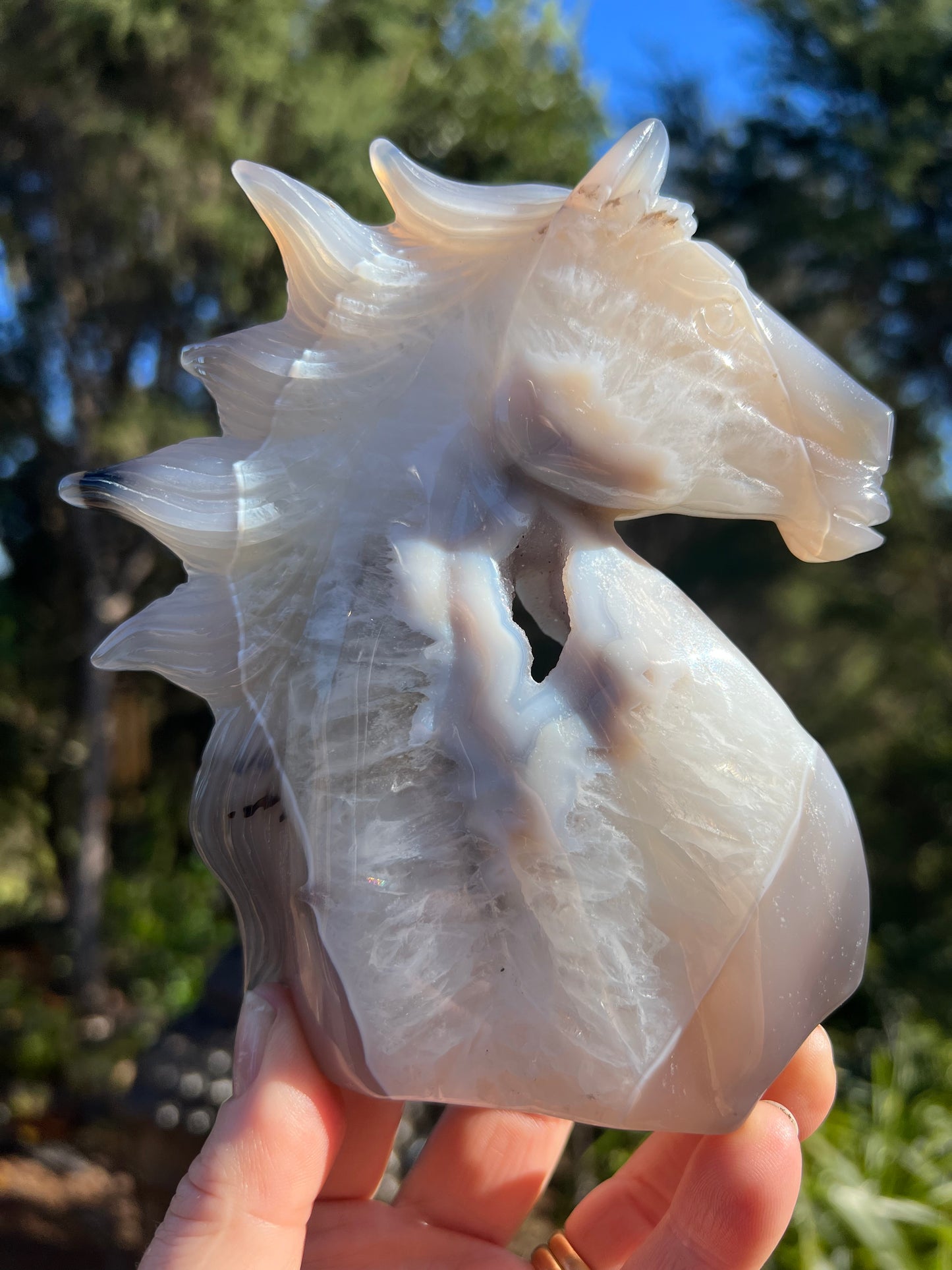 Blue Lace Agate Geode Horse Head