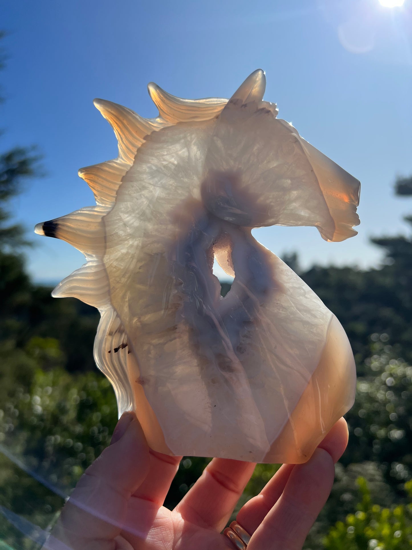 Blue Lace Agate Geode Horse Head